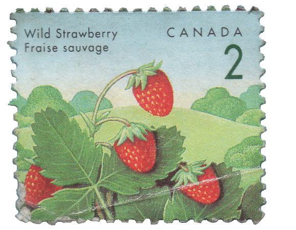 Wild Strawberry Canada Postage Stamp